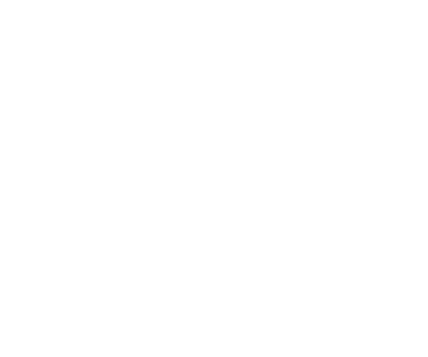 SoftClean Pro